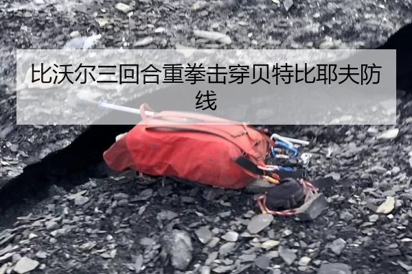 比沃尔三回合重拳击穿贝特比耶夫防线