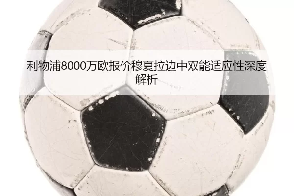 li-wu-pu-wan-ou-bao-jia-mu-xia-la-bian-zhong-shuang-neng-shi-ying-xing-shen-du-jie-xi-2-389.jpg
